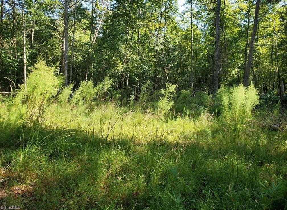 652 Johnson Ridge Road Property Photo 20