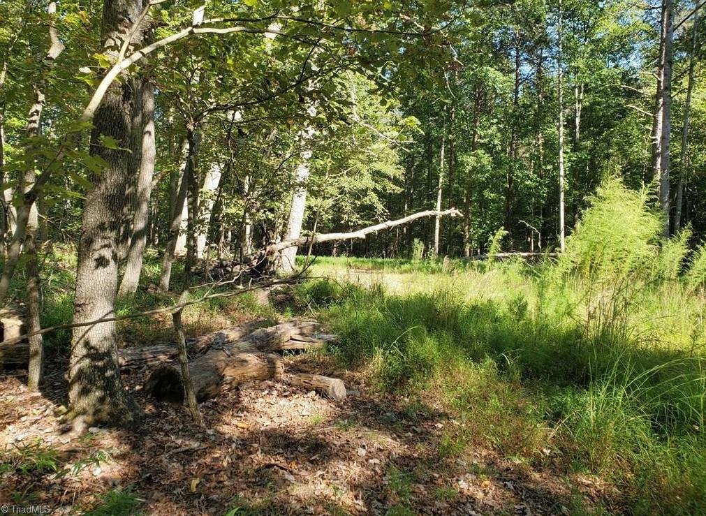 652 Johnson Ridge Road Property Photo 21