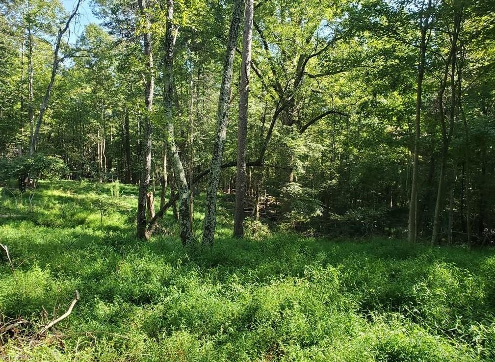 652 Johnson Ridge Road Property Photo 22