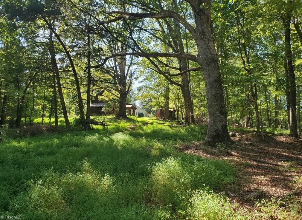652 Johnson Ridge Road Property Photo 23