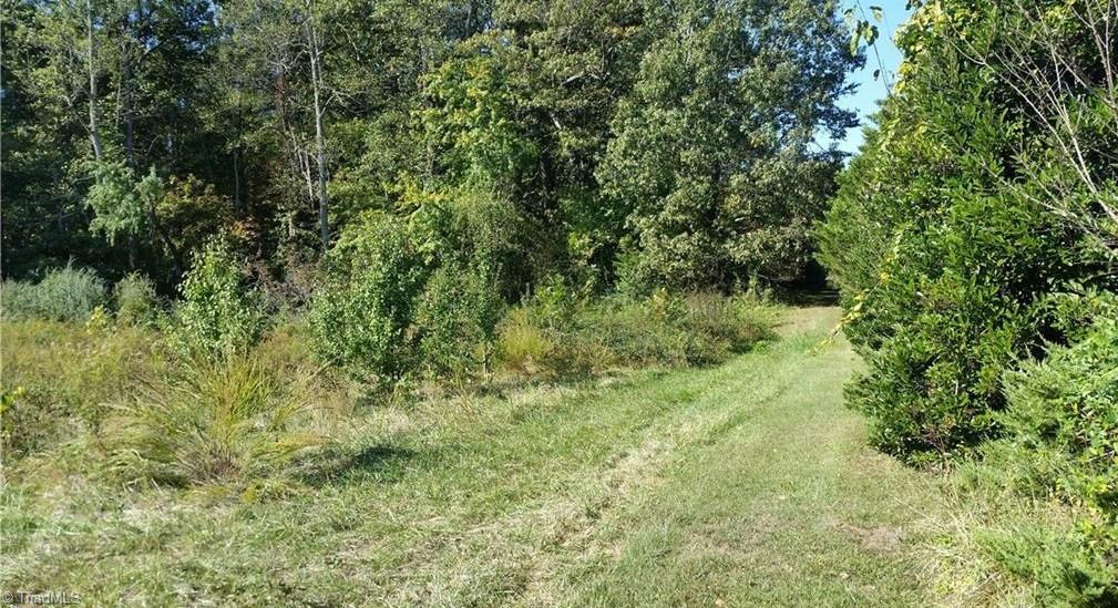 0 Johnson Ridge Road Property Photo 3