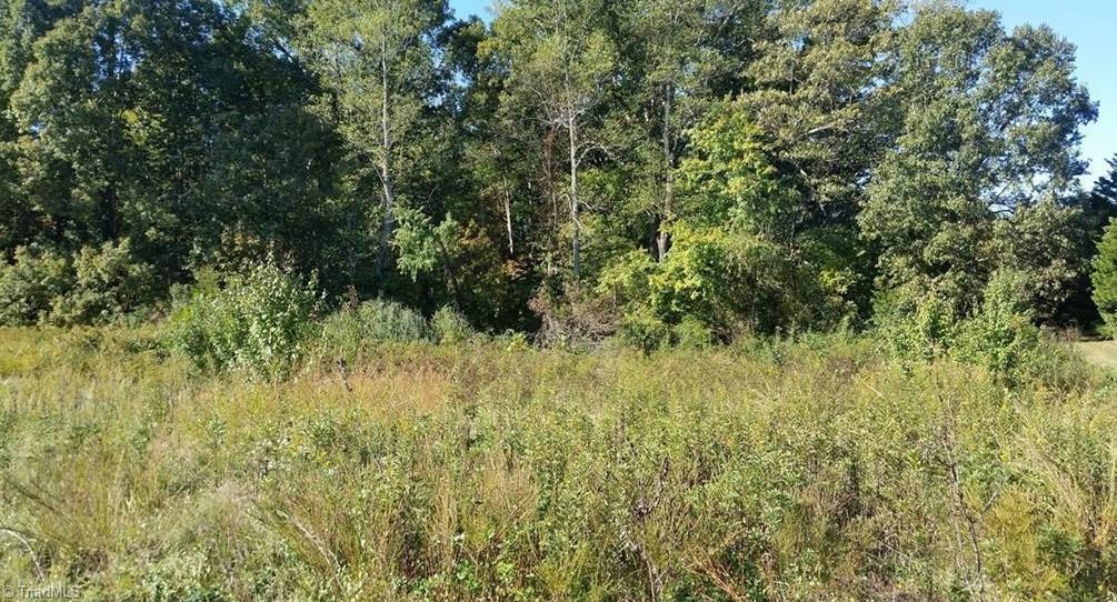 0 Johnson Ridge Road Property Photo 5