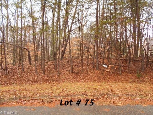 #75 Beaver Run Property Photo 1