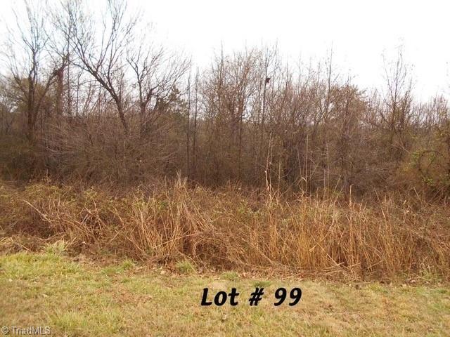 #99 River Chase Drive Property Photo 1