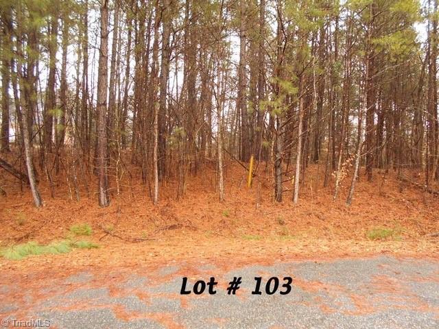#103 Deer Run Property Photo 1