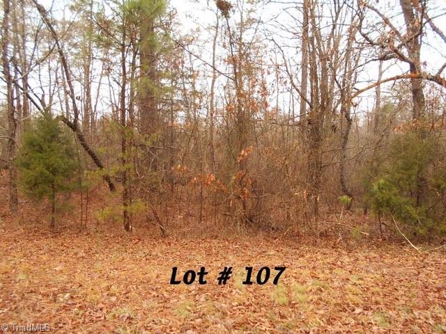 #107 Deer Run Property Photo 1