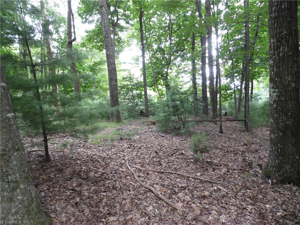 Tbd Longview Circle Property Photo 3