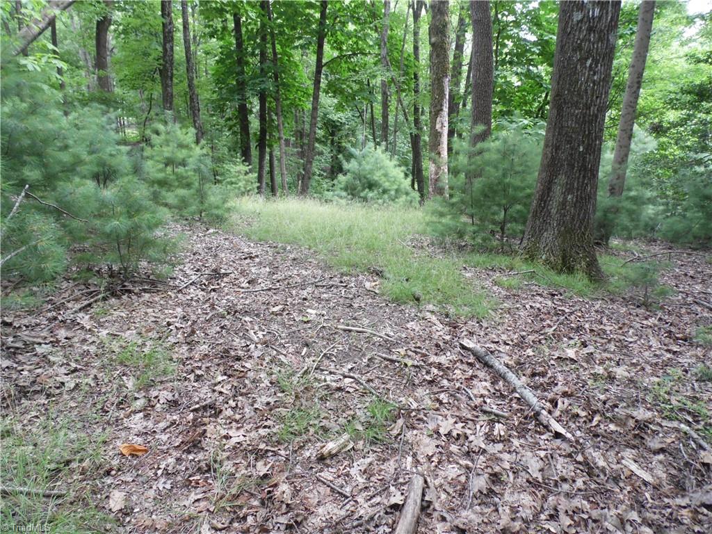 Tbd Longview Circle Property Photo 5