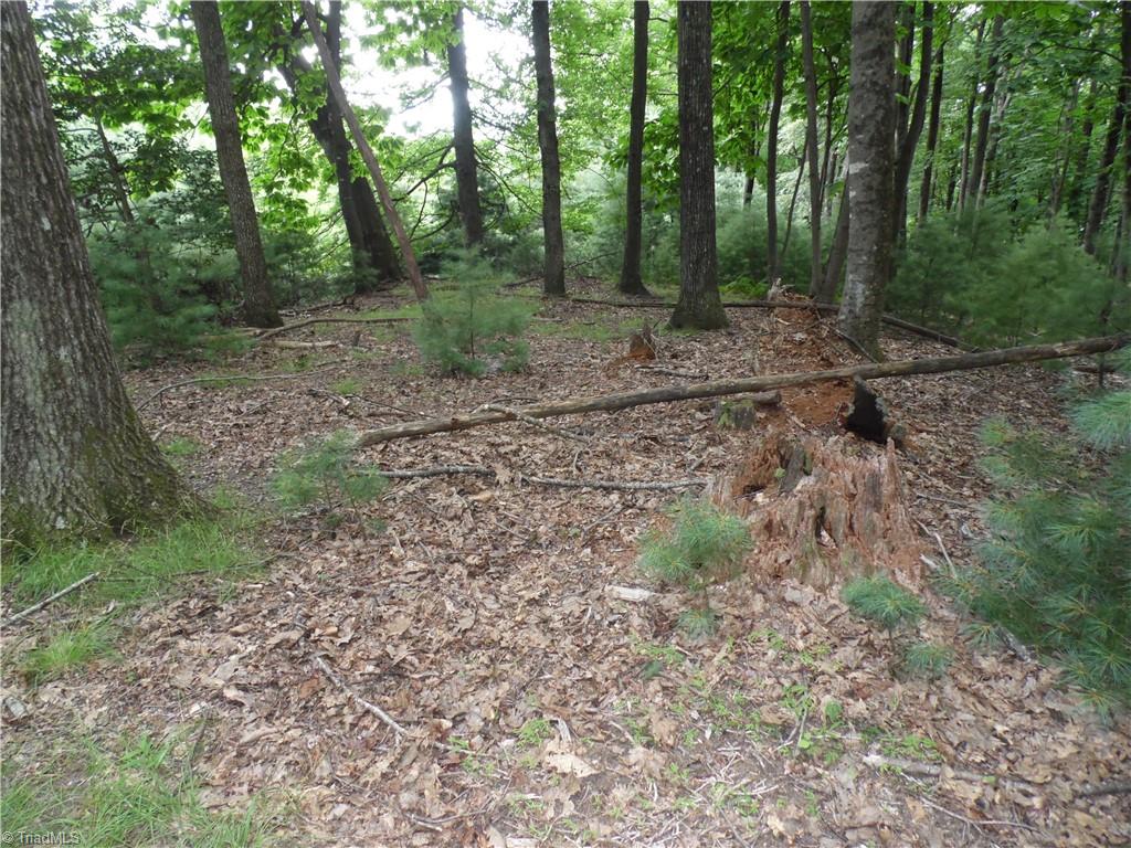 Tbd Longview Circle Property Photo 6