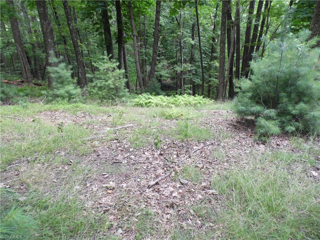 Tbd Longview Circle Property Photo 7