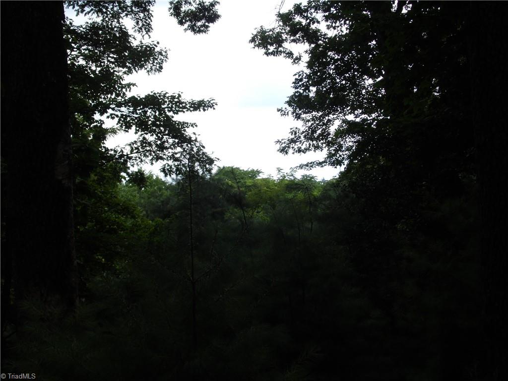 Tbd Longview Circle Property Photo 8