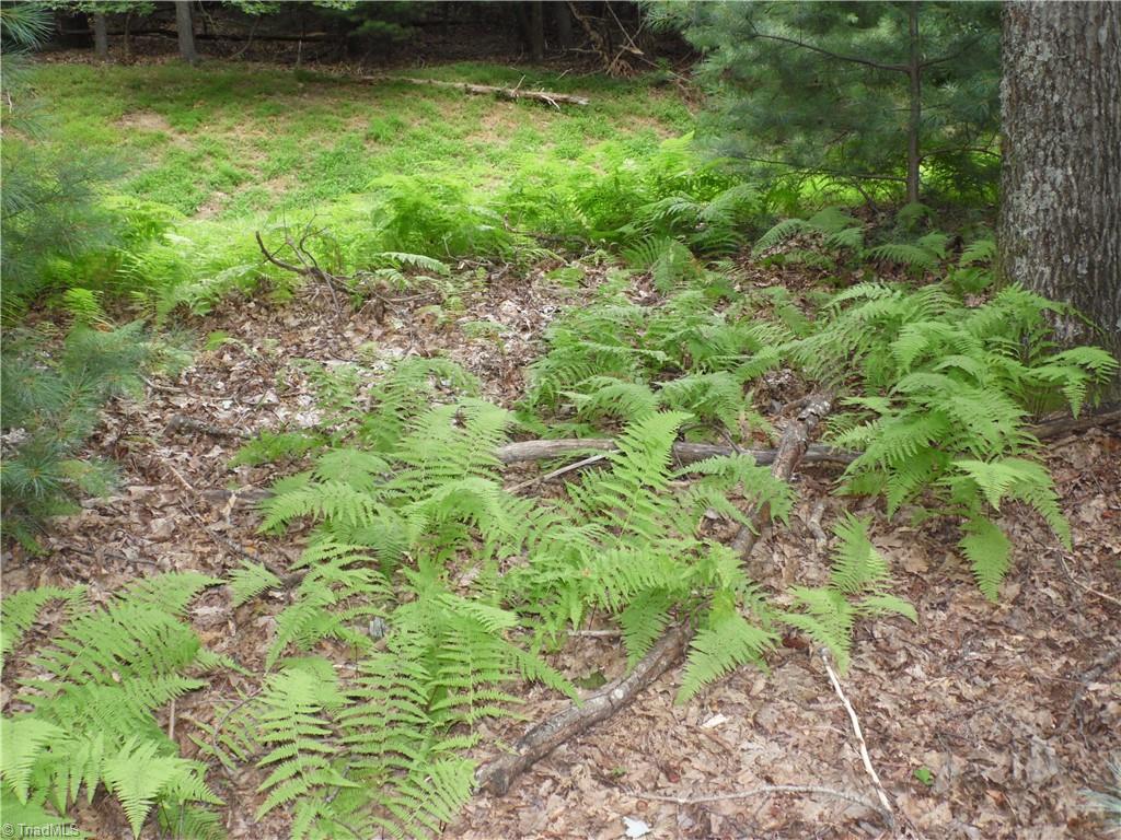 Tbd Longview Circle Property Photo 9