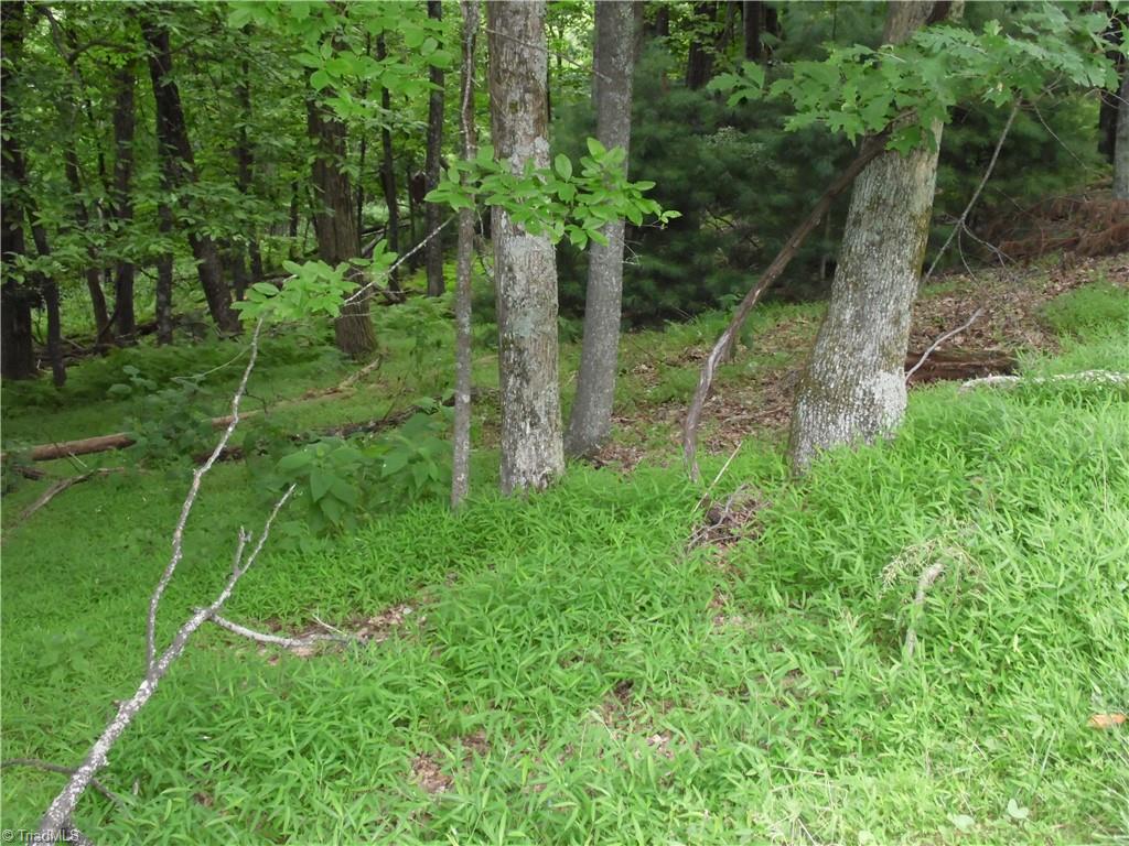 Tbd Longview Circle Property Photo 11