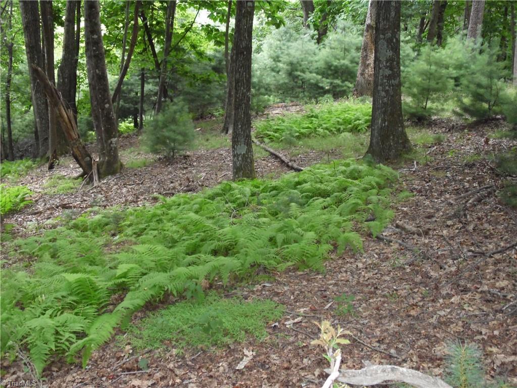 Tbd Longview Circle Property Photo 13
