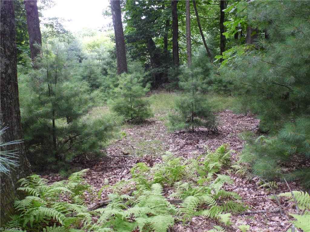 Tbd Longview Circle Property Photo 14