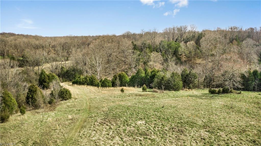 296 Koontz Road Property Photo 15