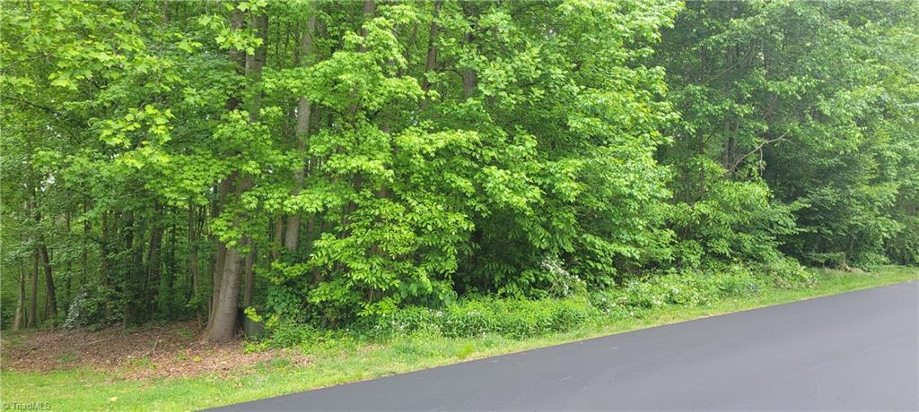 565 Doe Run Drive Property Photo 1