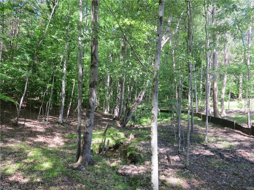 5765 Chrismon Road Property Photo 8