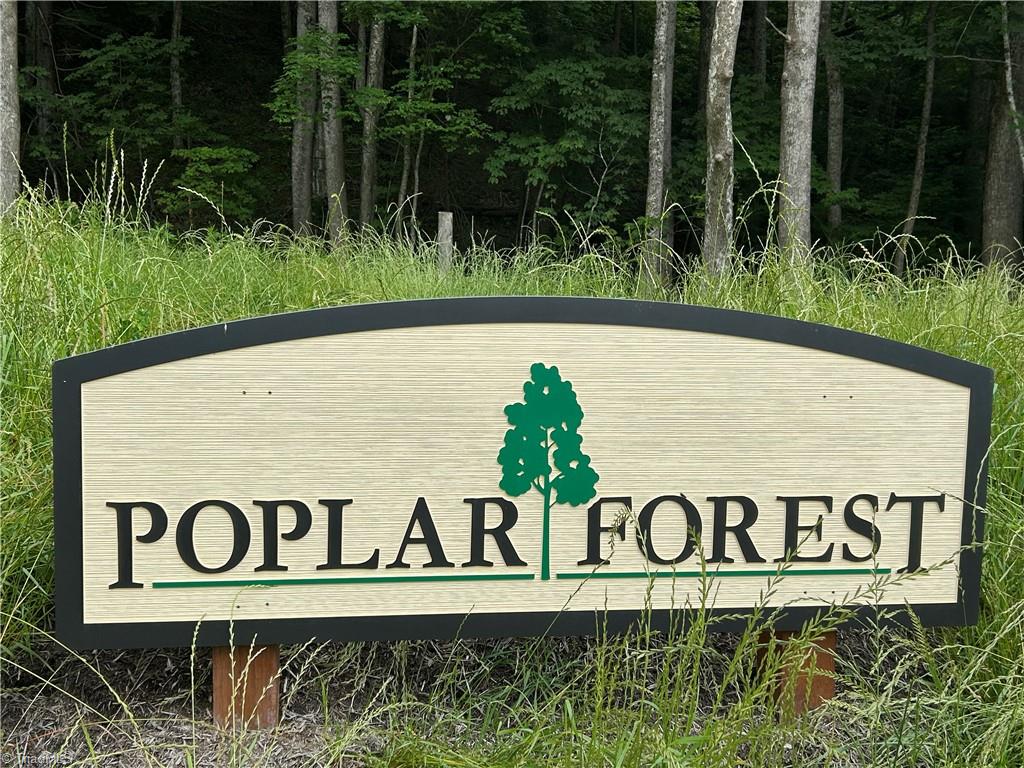 Lot 64 Poplar Forest Drive Property Photo 3