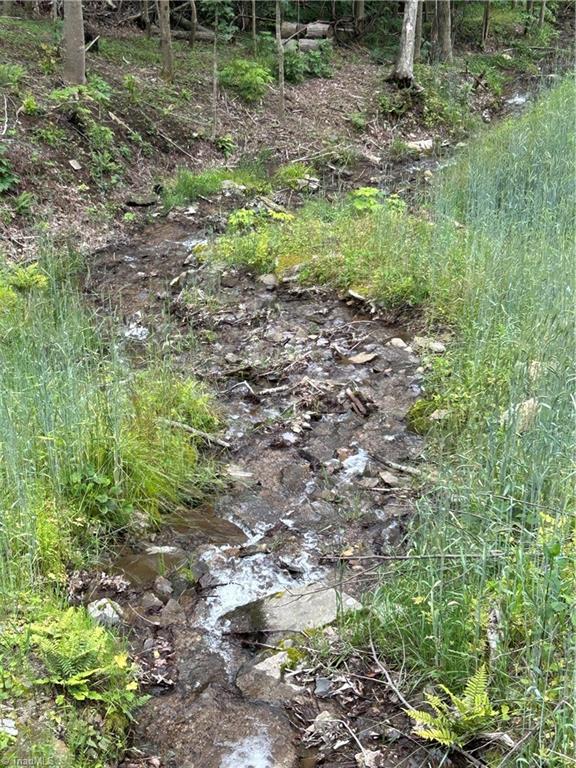 Lot 64 Poplar Forest Drive Property Photo 9