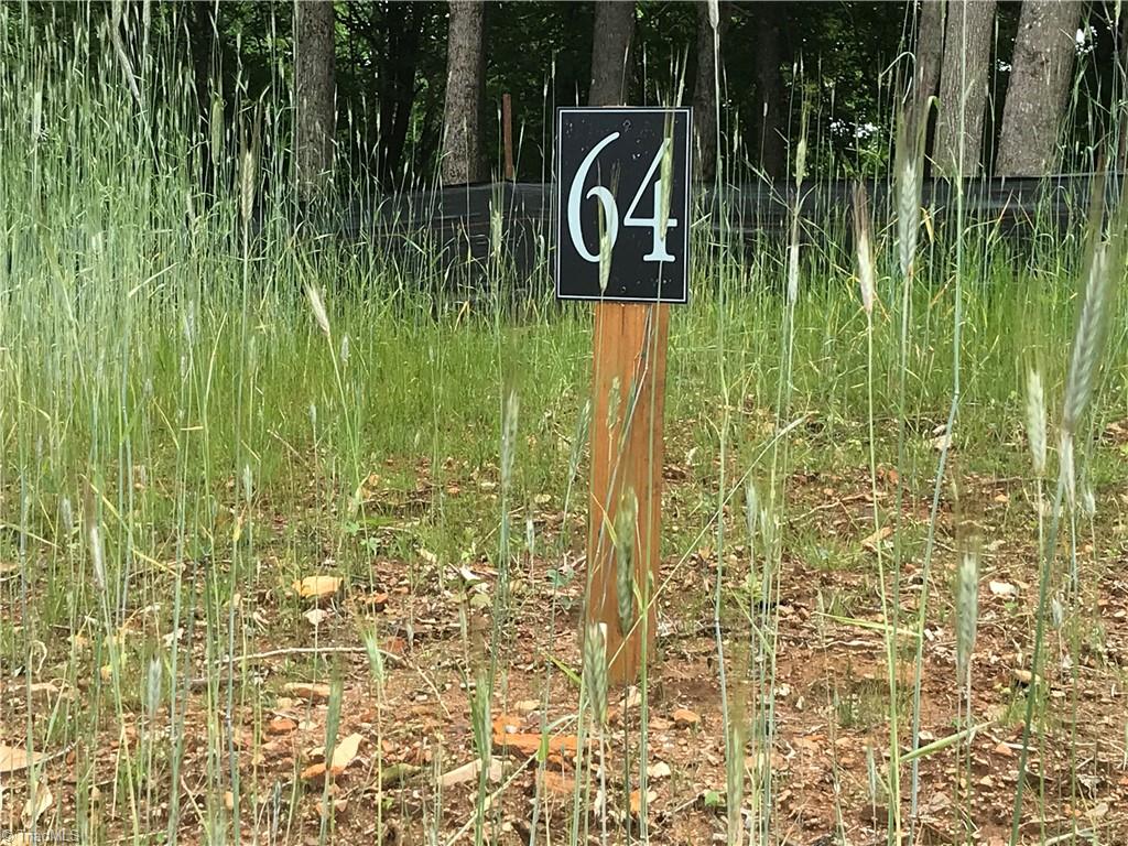 Lot 64 Poplar Forest Drive Property Photo 11