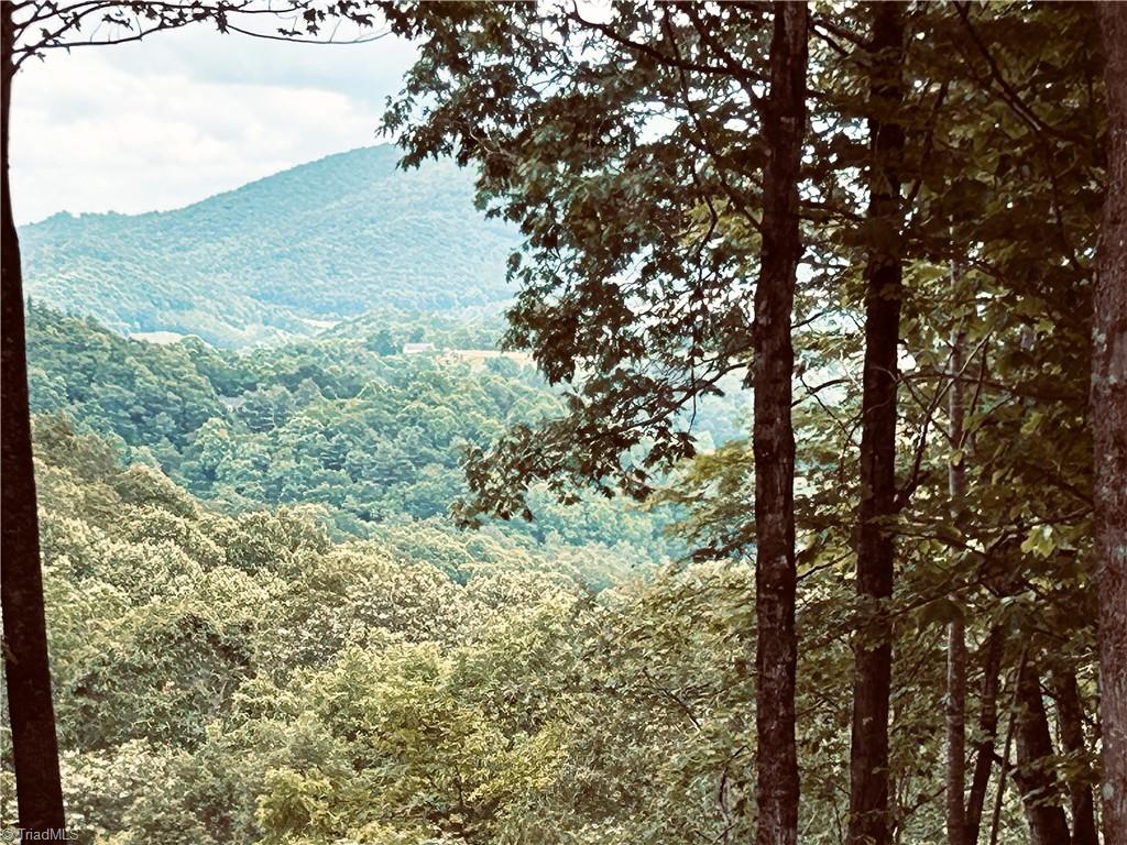 Lot 64 Poplar Forest Drive Property Photo 12