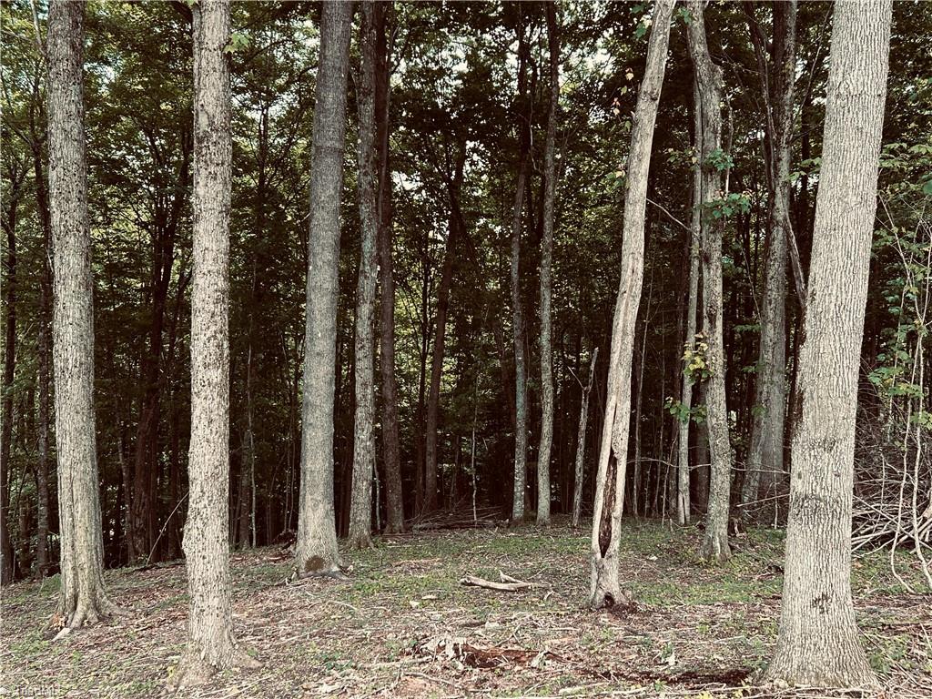 Lot 64 Poplar Forest Drive Property Photo 13