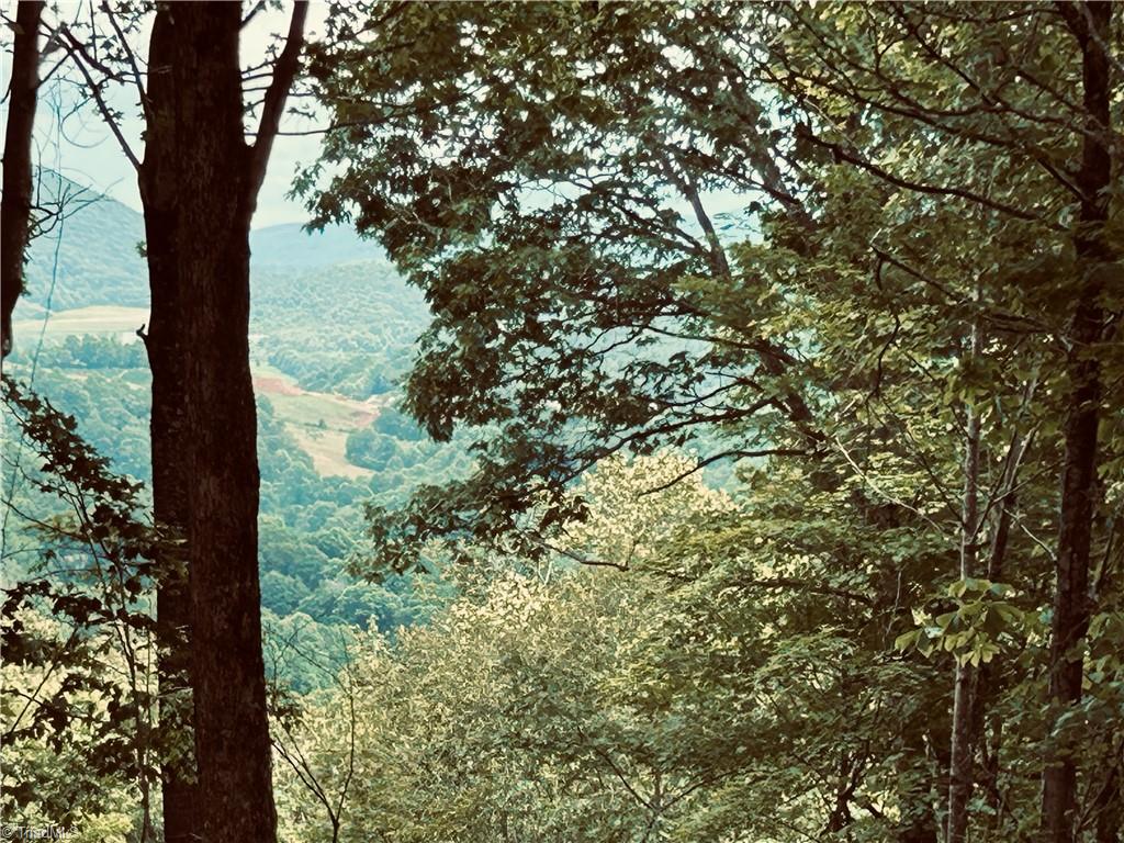 Lot 64 Poplar Forest Drive Property Photo 14