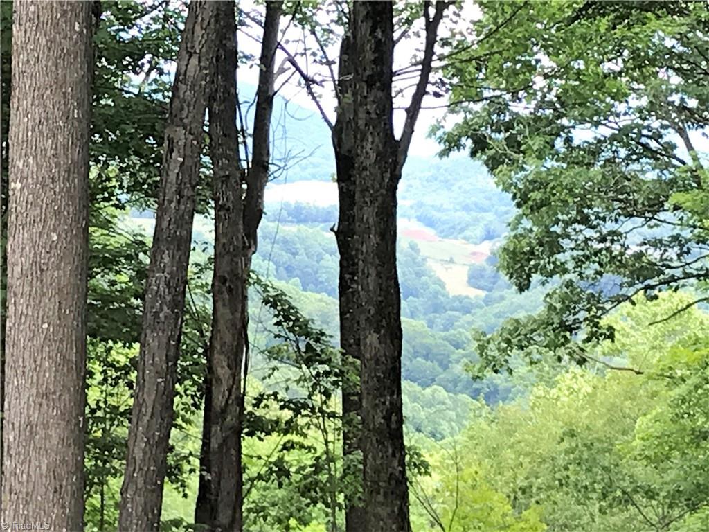 Lot 64 Poplar Forest Drive Property Photo 15