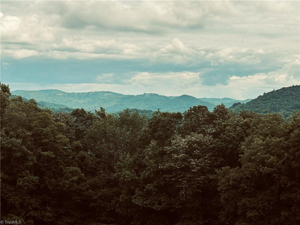 Lot 64 Poplar Forest Drive Property Photo 16