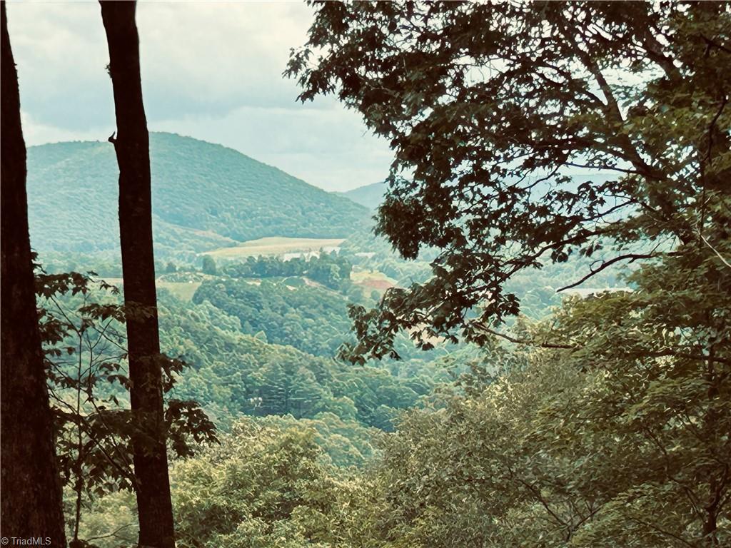 Lot 64 Poplar Forest Drive Property Photo 17