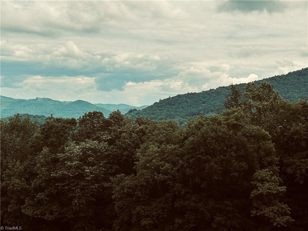 Lot 64 Poplar Forest Drive Property Photo 20