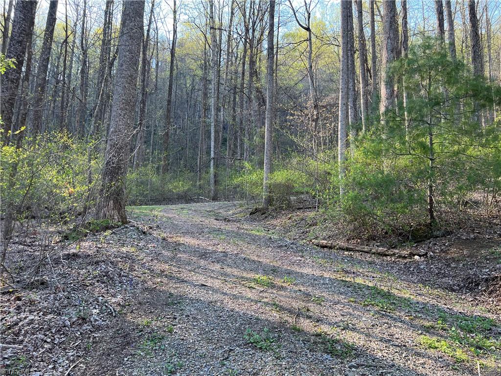 Tbd North Ledge Trail Property Photo 1