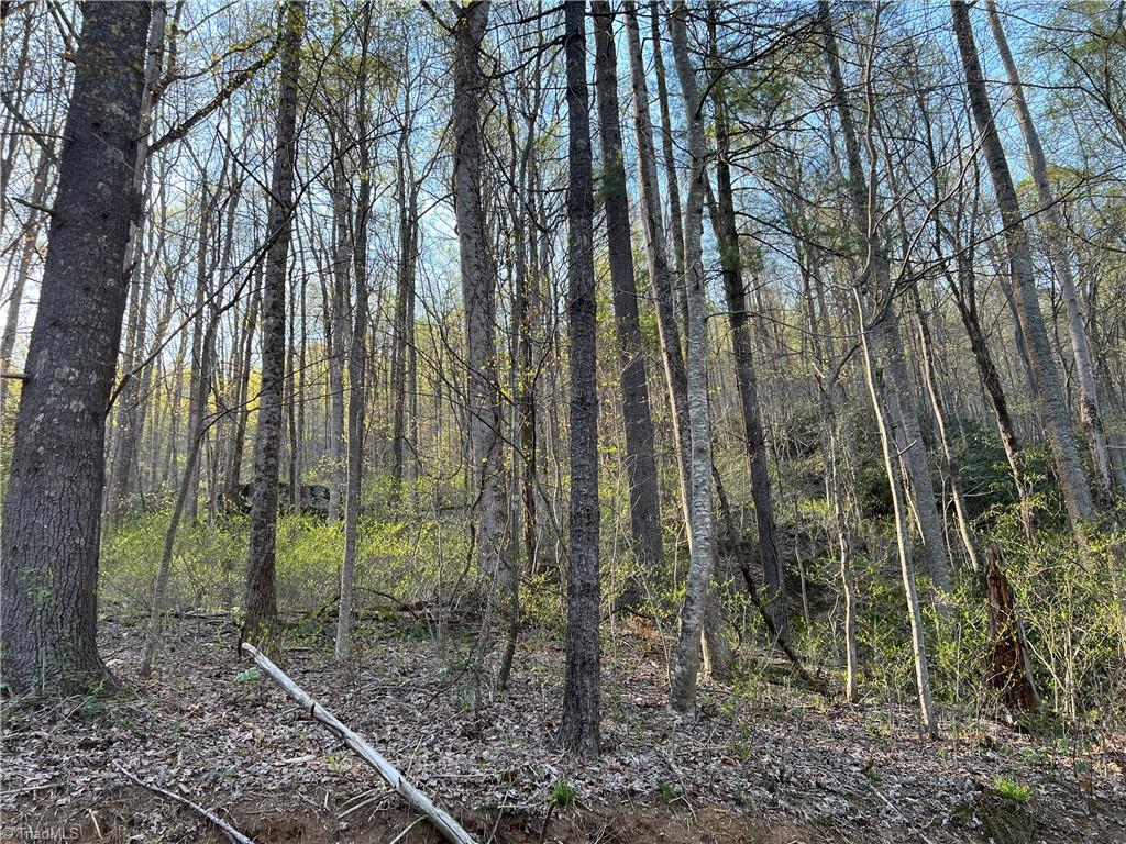 Tbd Briar Rock Trail Property Photo 1