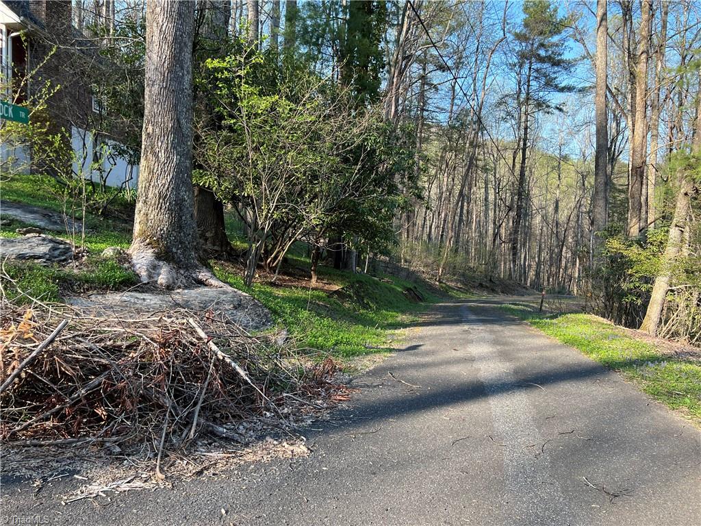 Tbd Briar Rock Trail Property Photo 3