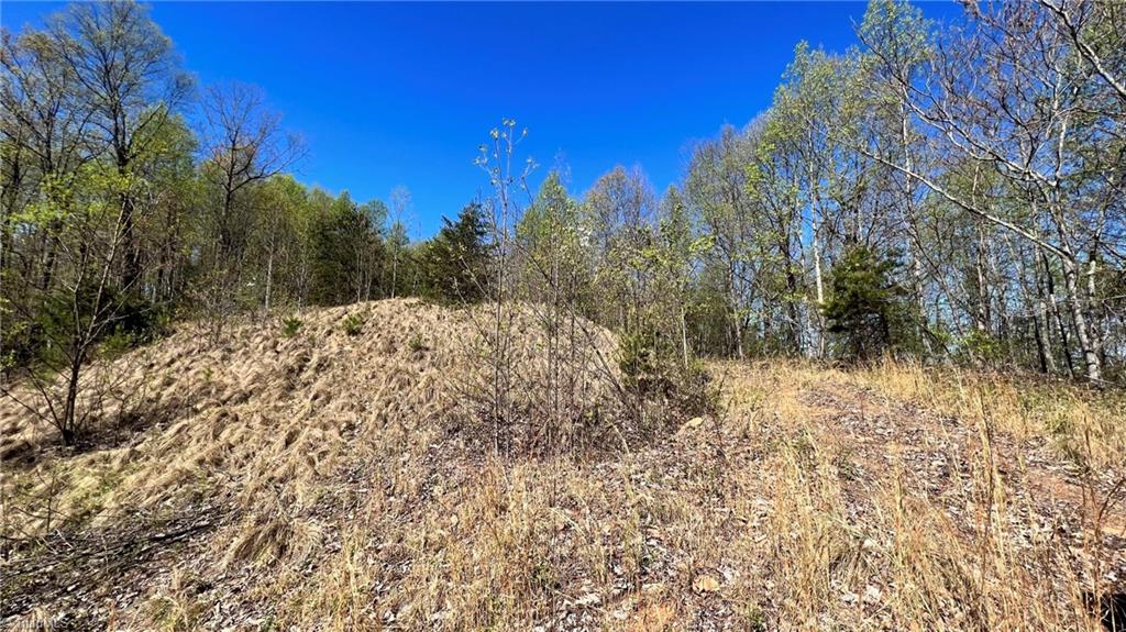 Tbd Eagle Heights Circle Property Photo 9