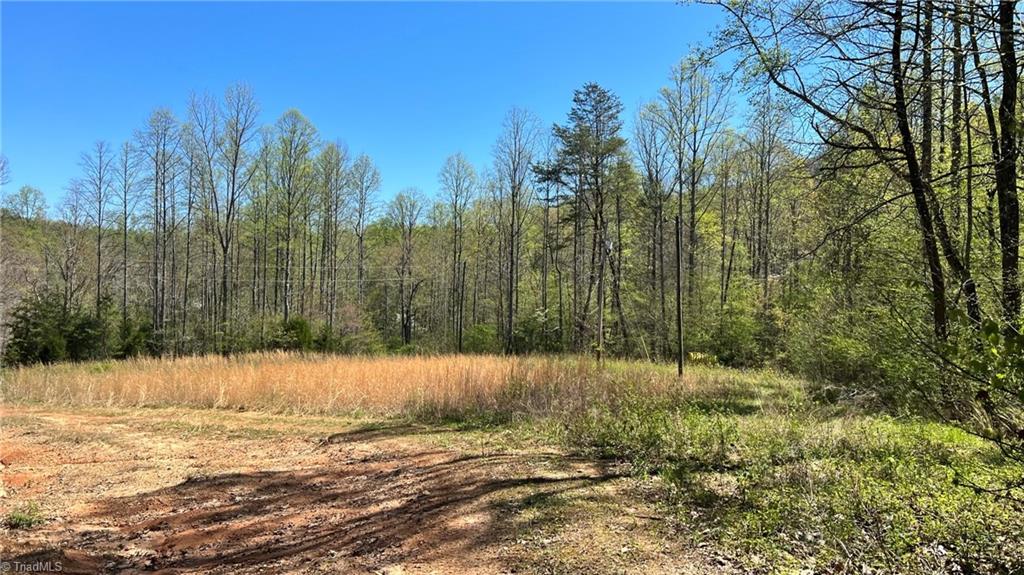 Tbd Eagle Heights Circle Property Photo 16