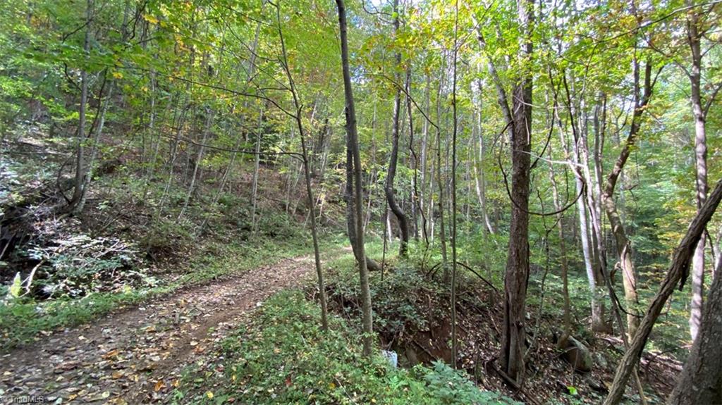 Tbd Eagle Heights Circle Property Photo 19
