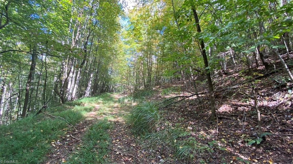 Tbd Eagle Heights Circle Property Photo 20