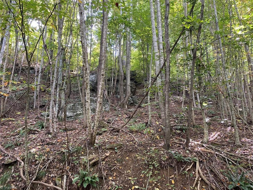 Tbd Eagle Heights Circle Property Photo 25