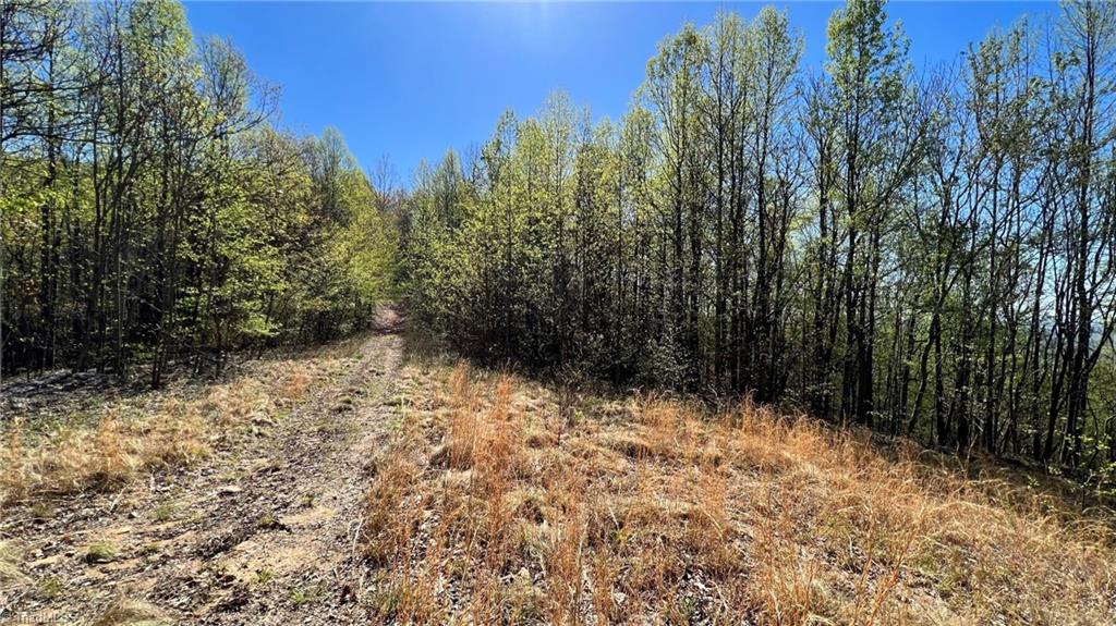 Tbd Eagle Heights Circle Property Photo 28