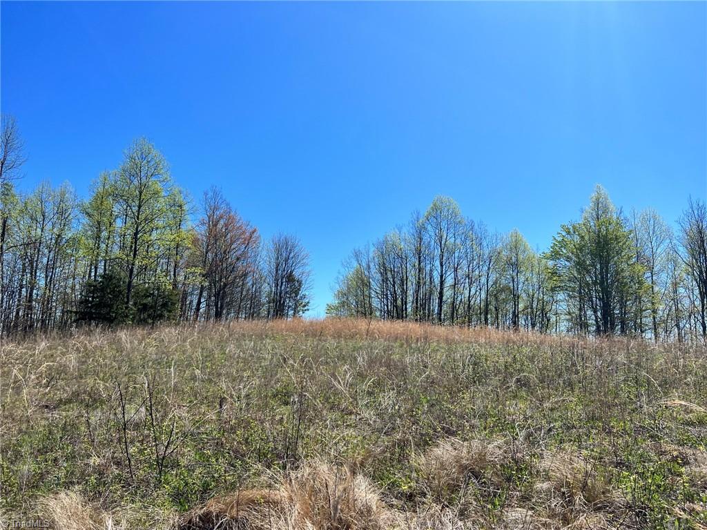 Tbd Eagle Heights Circle Property Photo 30