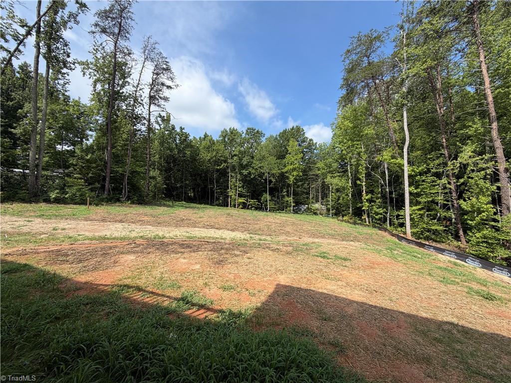 157 Owl Lane Property Photo 36