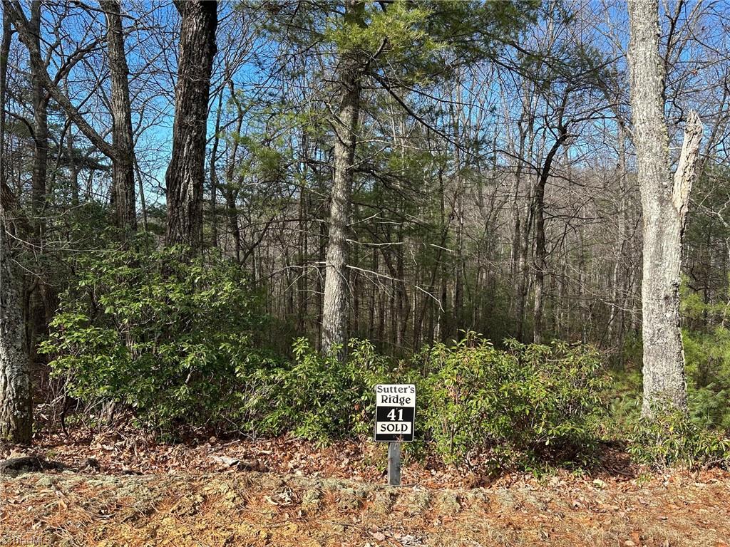 Lot 41 Sutters Ridge Road Property Photo 1