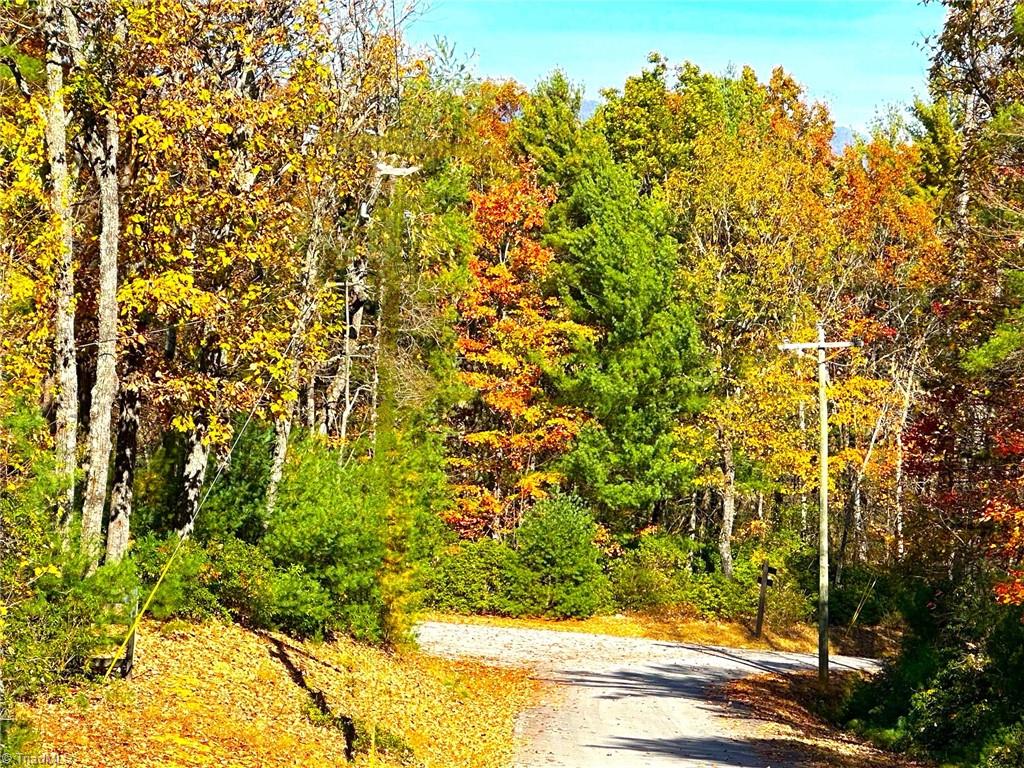 Lot 41 Sutters Ridge Road Property Photo 2