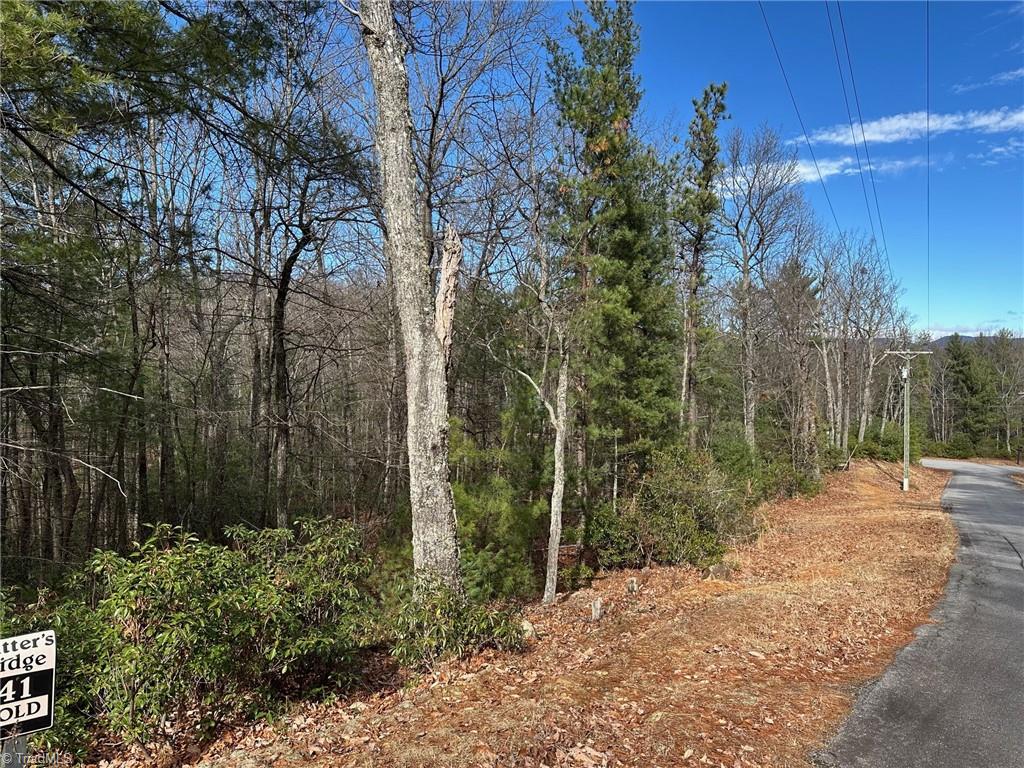 Lot 41 Sutters Ridge Road Property Photo 3