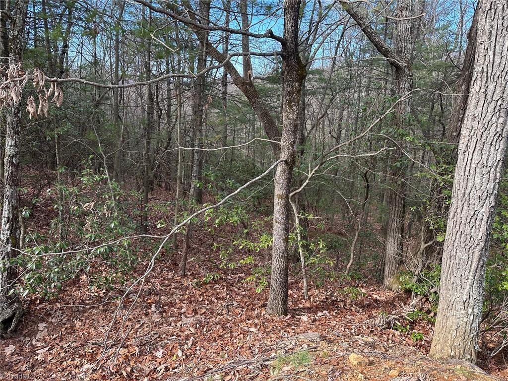 Lot 41 Sutters Ridge Road Property Photo 4