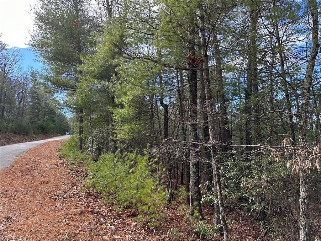 Lot 41 Sutters Ridge Road Property Photo 5