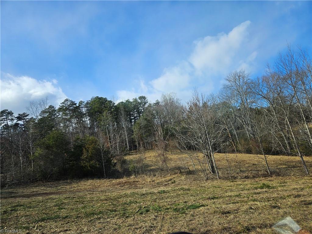 00 Whitaker Chapel Road # 2 Property Photo 2