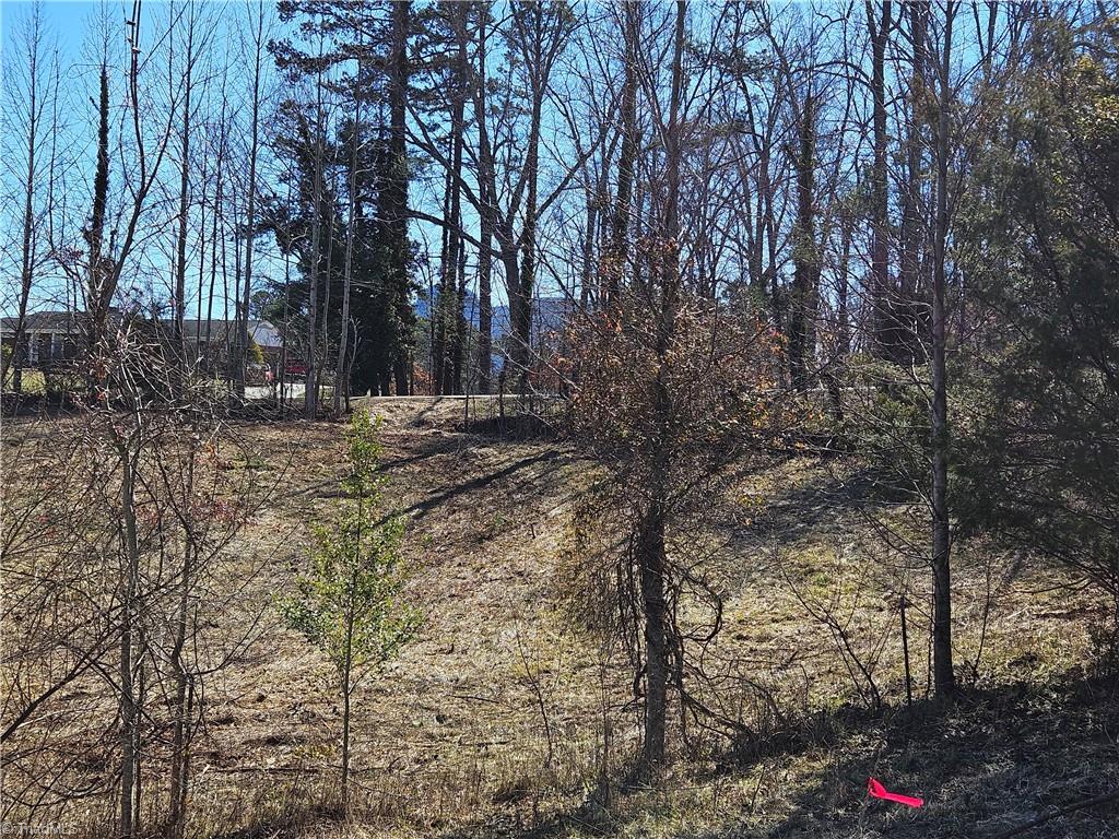 00 Whitaker Chapel Road # 2 Property Photo 10